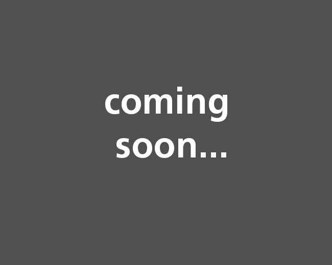 Denzer_referenzen_coming_soon